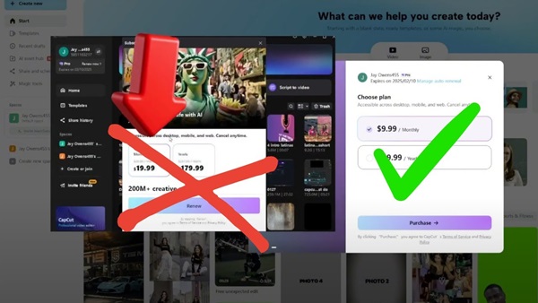 how much is capcut pro